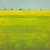 219 Morag Smith yellow fields