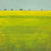 219 Morag Smith yellow fields